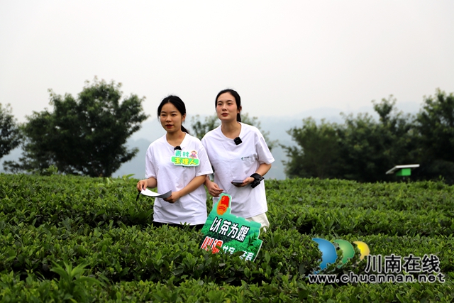 現(xiàn)場直播帶茶（陳清攝）.jpg