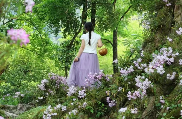 “絕絕紫”！合江紫色花海已上線(xiàn)
