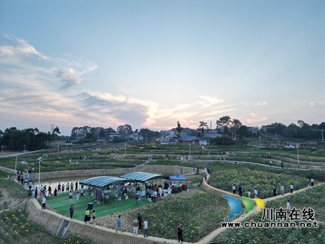 夜幕降臨，向日葵基地游人如織（李桂漣攝）.jpg