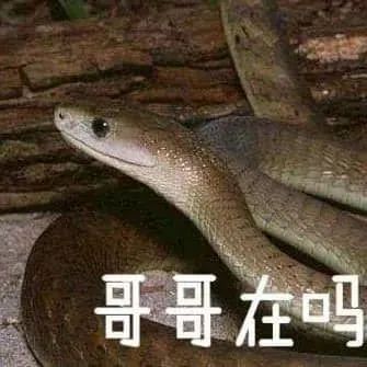 蛇出沒請(qǐng)注意！瀘州市人醫(yī)儲(chǔ)備有抗蛇毒血清，關(guān)鍵時(shí)刻能救命！