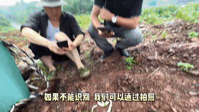 4.gif