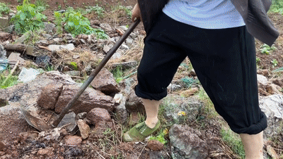 3.gif