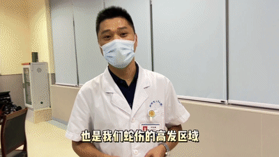 8.gif