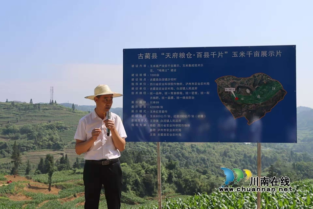 古藺白泥：四維賦能，黨員干部“學講送闖” 激活鄉(xiāng)村振興新動能