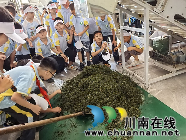 參觀制茶.jpg