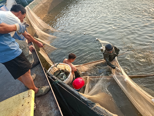捕鱸魚1（王靜攝）.jpg