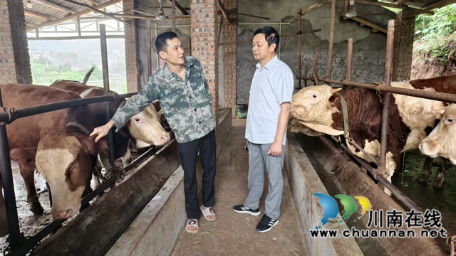 圖3：牟光彬關(guān)心返鄉(xiāng)創(chuàng)業(yè)青年肉牛增收情況.jpg