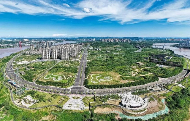 草１.jpg