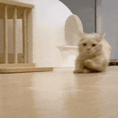 3.gif