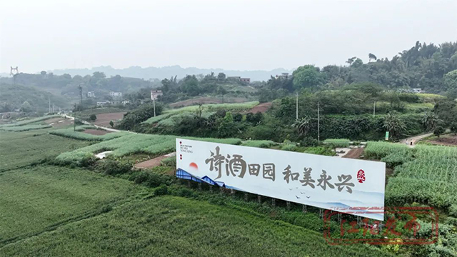 8-2504120TRba.jpg