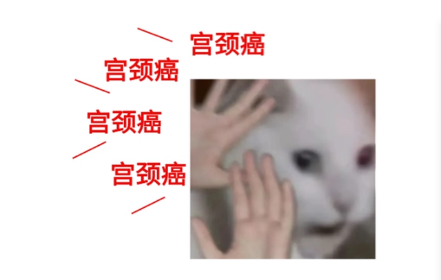 6401.jpg