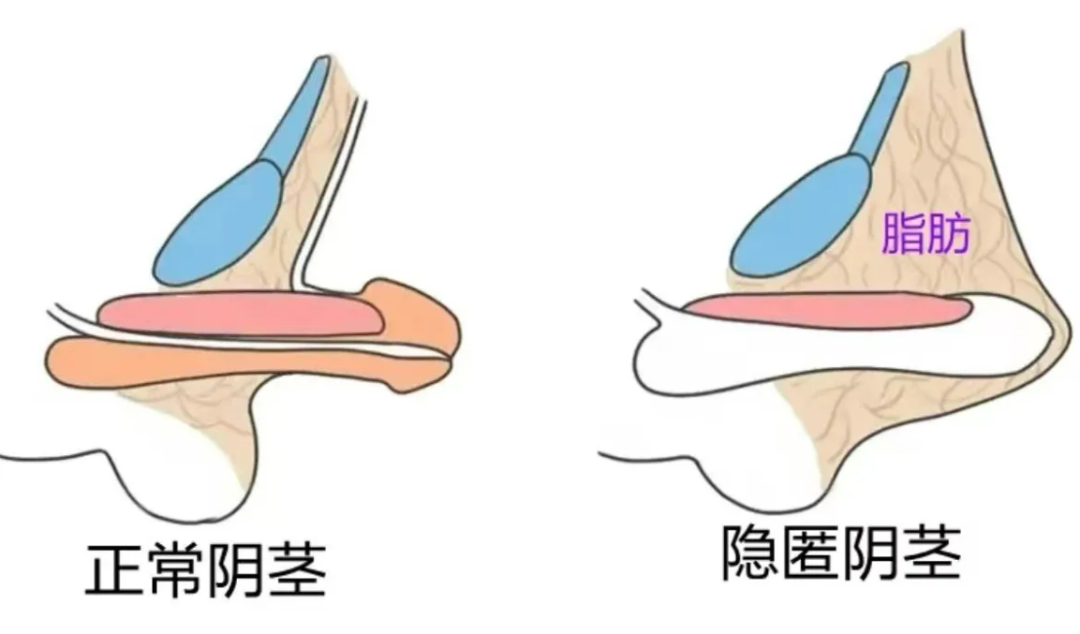 微信圖片_20250721093253.png
