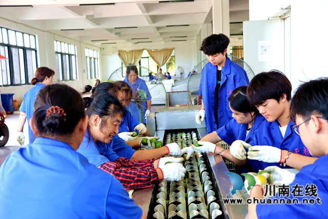 圖為村民將鮮果放進(jìn)切片機(jī)進(jìn)行切片.JPG