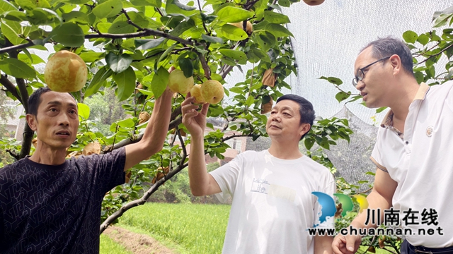圖1：張優(yōu)奎（左）向牟光彬（中）介紹遮陽(yáng)網(wǎng)的好.jpg