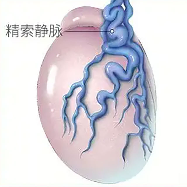 【關(guān)注】“蛋蛋”的憂傷，小伙私處青筋暴起……
