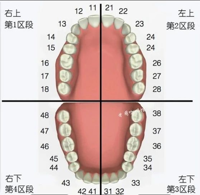 【圍觀】男子臉上長痘，腫脹流膿發(fā)臭，罪魁禍首是顆爛牙