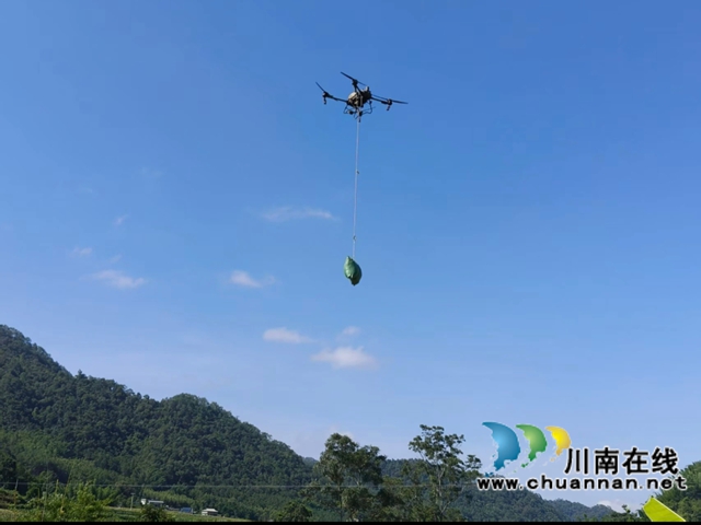 無人機(jī)運(yùn)送稻谷袋（趙銘巧攝）.jpg