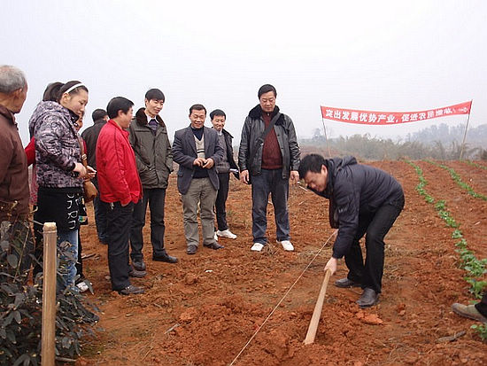 民富村強 天仙鎮(zhèn)創(chuàng)先爭優(yōu)效果顯著(圖7)
