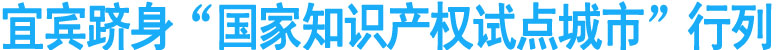 宜賓躋身“國家知識產(chǎn)權(quán)試點城市”行列
