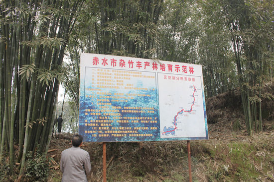 馬嶺鎮(zhèn)：書記帶隊(duì) 學(xué)習(xí)取經(jīng)(圖1)