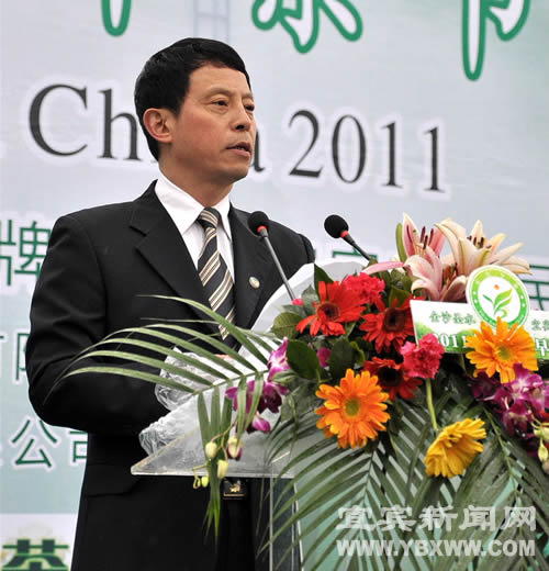 2011中國(guó)宜賓早茶節(jié)盛裝開(kāi)啟(圖4)