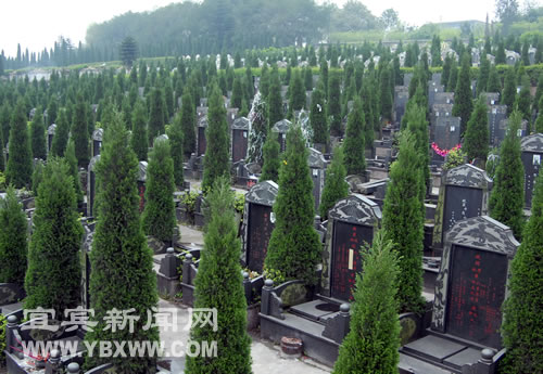 每平米均價(jià)過萬 活人搶墓為哪般？(圖2)