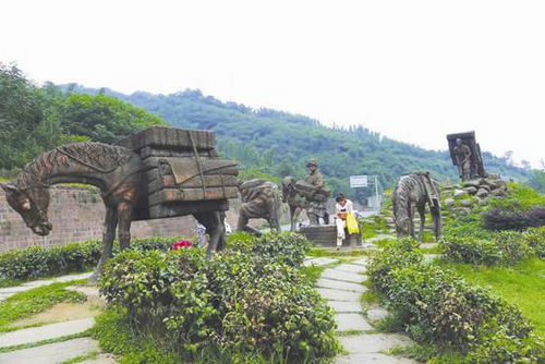 騎行有毒，我們已經(jīng)中毒太深(圖5)
