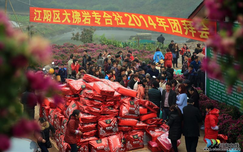 年味濃瀘州：專合社農(nóng)民歡聚“團年宴”(圖)(圖8)