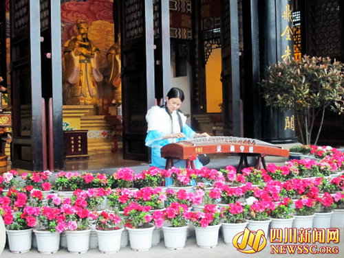 瀘州低碳環(huán)保漸成主流 清明文明祭奠已成風尚(圖4)