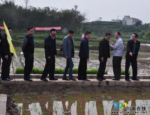 全市水稻機械化作業(yè)暨高標準農(nóng)田建設(shè)現(xiàn)場會在瀘縣召開(圖2)