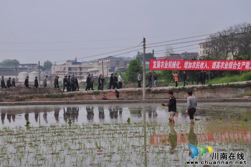 全市水稻機械化作業(yè)暨高標準農(nóng)田建設(shè)現(xiàn)場會在瀘縣召開(圖1)