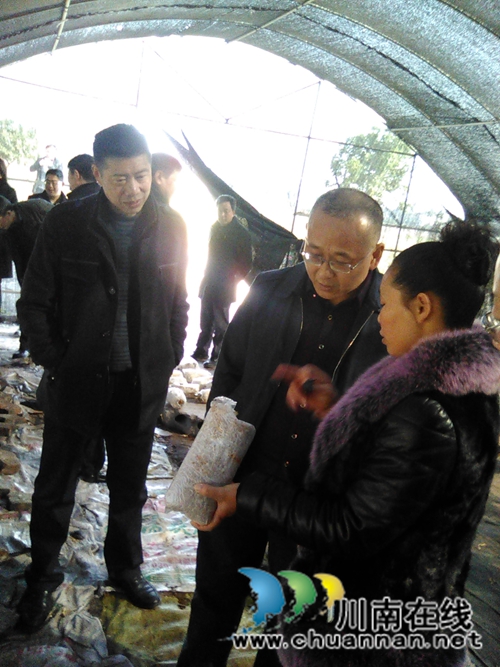 瀘州市委常委、市農(nóng)工委主任李曉宇調(diào)研嘉明鎮(zhèn)農(nóng)業(yè)建設(shè)工作(圖2)