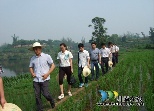 宜賓南溪區(qū)領(lǐng)導(dǎo)到留賓鄉(xiāng)調(diào)研脫貧攻堅(jiān)工作(圖1)
