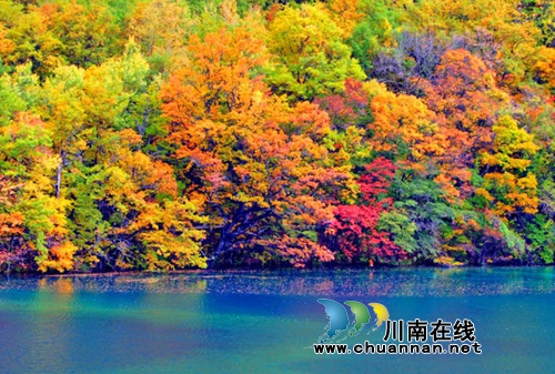 陳宗華：說了不寫災(zāi)難詩的(圖2)