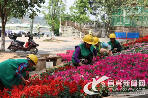 風(fēng)貌改造綠化亮化 宜賓李莊古鎮(zhèn)核心區(qū)變臉(圖1)
