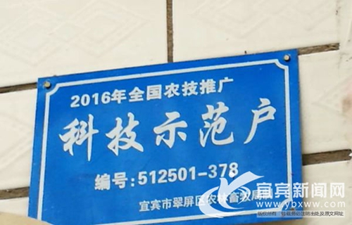 從賣菜到賣菜苗 宜賓這個“新菜農(nóng)”年入60萬(圖6)