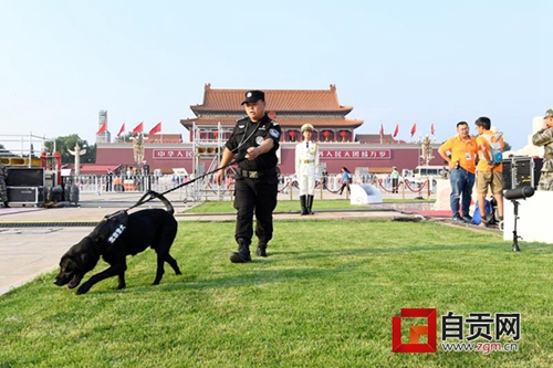 自貢民警攜警犬為國慶慶?；顒颖ｑ{護航(圖3)