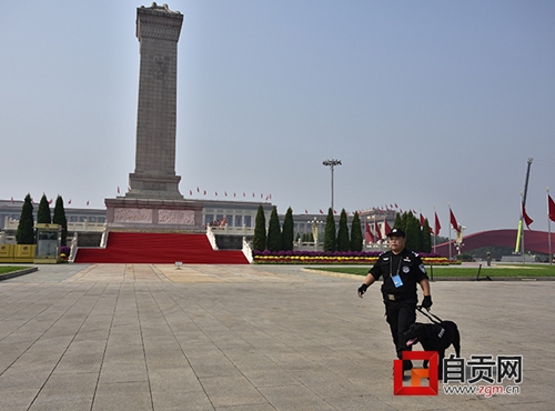 自貢民警攜警犬為國慶慶?；顒颖ｑ{護航(圖4)