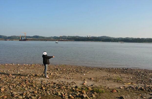 瀘州破獲一起非法獵捕珍貴、瀕危野生動物案(圖2)