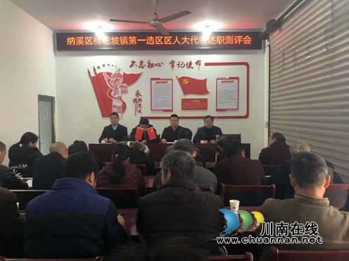納溪區(qū)棉花坡鎮(zhèn)開展第一選區(qū)人大代表述職評議(圖1)