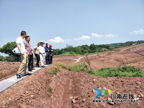 瀘縣云龍鎮(zhèn)：著力實施土地整理項目 為全面振興鄉(xiāng)村添油加彩(圖1)