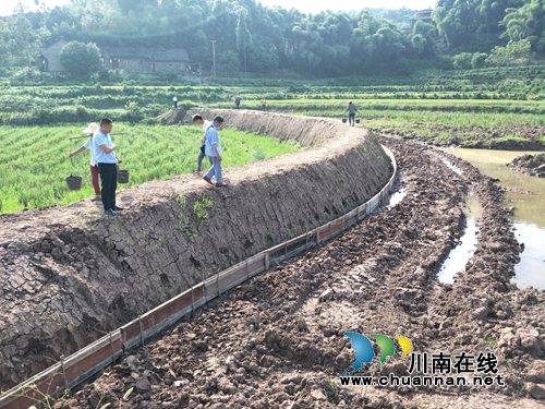 瀘縣云龍鎮(zhèn)：著力實施土地整理項目 為全面振興鄉(xiāng)村添油加彩(圖3)