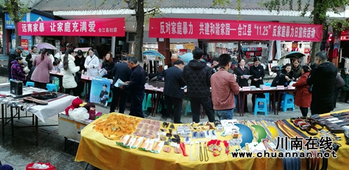合江縣婦聯(lián)開展全方位、多角度“反家暴”宣傳活動(dòng)(圖2)