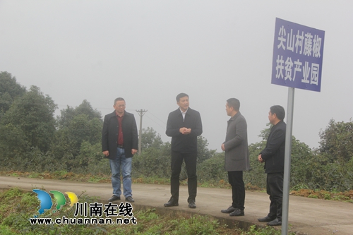 肖剛到瀘縣海潮鎮(zhèn)督導(dǎo)脫貧攻堅工作(圖1)