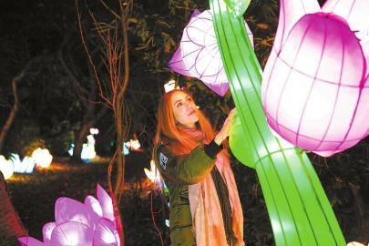 自貢彩燈欲“點亮”燈飾照明產業(yè)鏈(圖2)