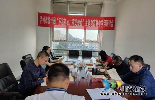 瀘州市統(tǒng)計(jì)局開展主題教育集中學(xué)習(xí)研討(圖1)