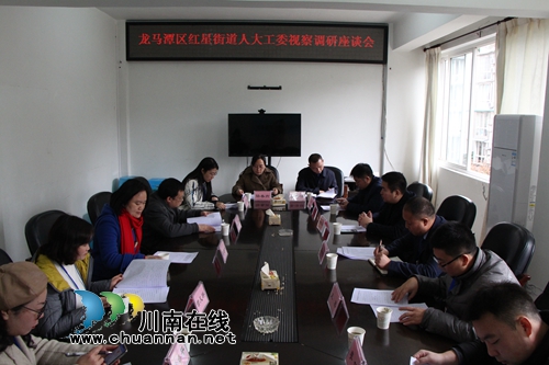 龍馬潭區(qū)紅星街道組織人大代表、政協(xié)委員開展視察調(diào)研活動