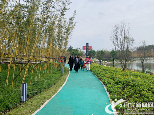 宜賓五糧液機(jī)場(chǎng)站前廣場(chǎng)人氣旺 成休閑好去處(圖1)