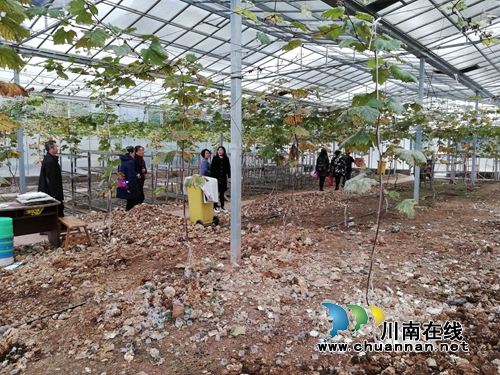 瀘州市自然資源和規(guī)劃局退休黨支部開展“不忘初心、牢記使命”主題教育走基層活動