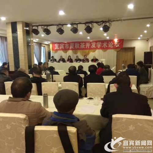宜賓小微茶企如何開發(fā)夏秋茶？省專家支招獻(xiàn)策(圖1)